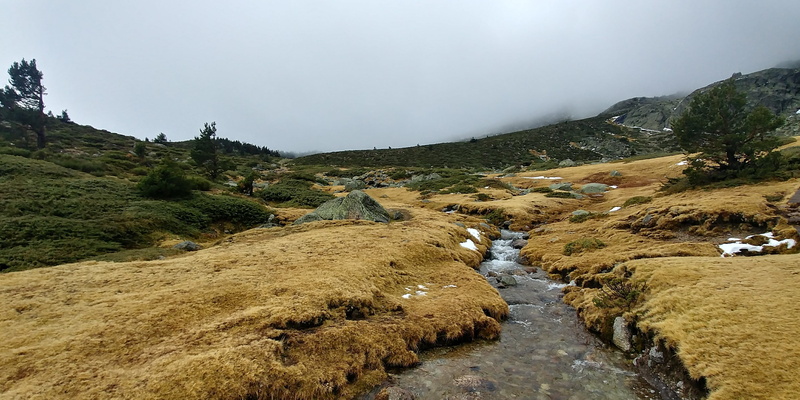 tranquility, sierra de guadarrama, no people, plant, flowing water, outdoors, spain, scenics - nature, water, non-urban scene, beauty in nature, cloud - sky