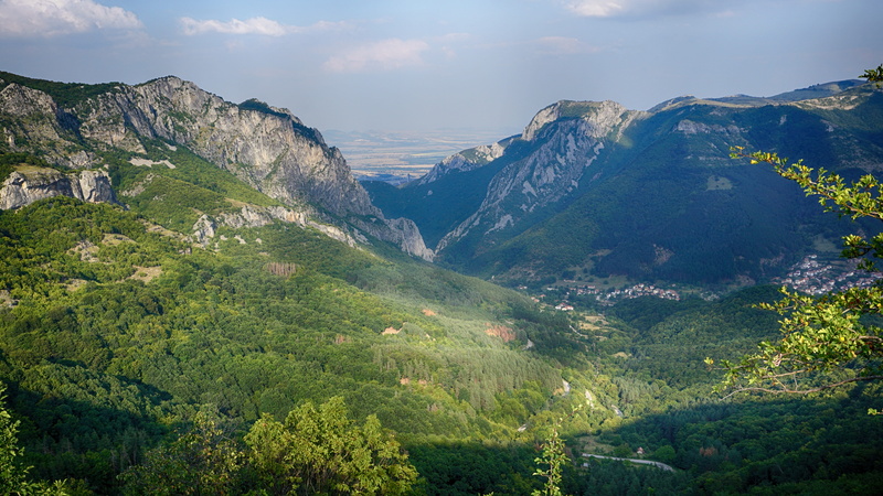 pines, climbing, tourist, balkan, scenics - nature, tree, bulgaria, valley, forest, outdoors, outdoor, coniferous tree, hiking, road, mountain range, environment