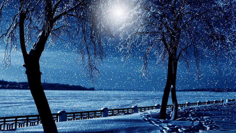 night, sky, bare, field, 1080P, tress, nature, moon, snowy, trees, winter, snow