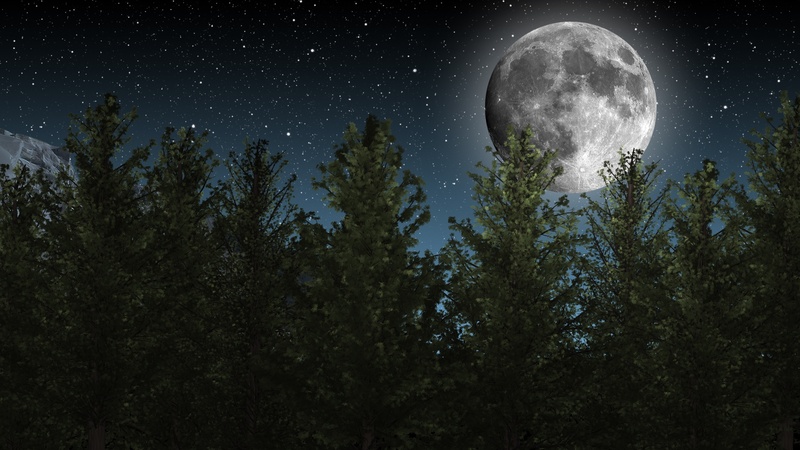 star Field, astronomy, dark, moon, planetary Moon, stars, scenics - nature, nebula, star, no people, planet - Space, tree, tranquility, science, full, moon Surface