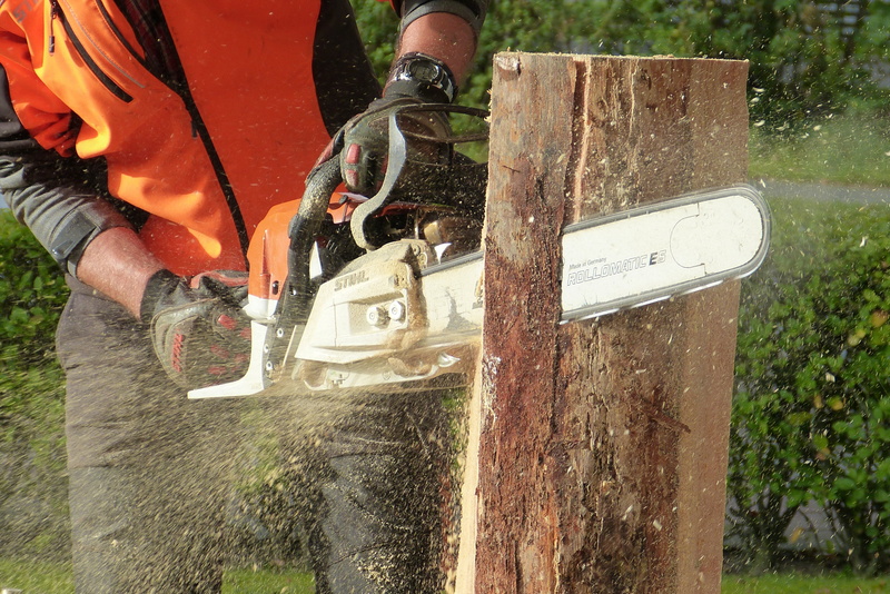 chainsaw, man, using, work, equipment, artwork, cutting, protection, work Tool, day, lumberjack, nature, water, gardening, log, midsection, men, working