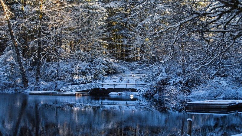 forest, nature, quality, lakes, water, landscapes, winter, cold, snow, dock, 1080P, covered, reflection, high, pier, trees, season