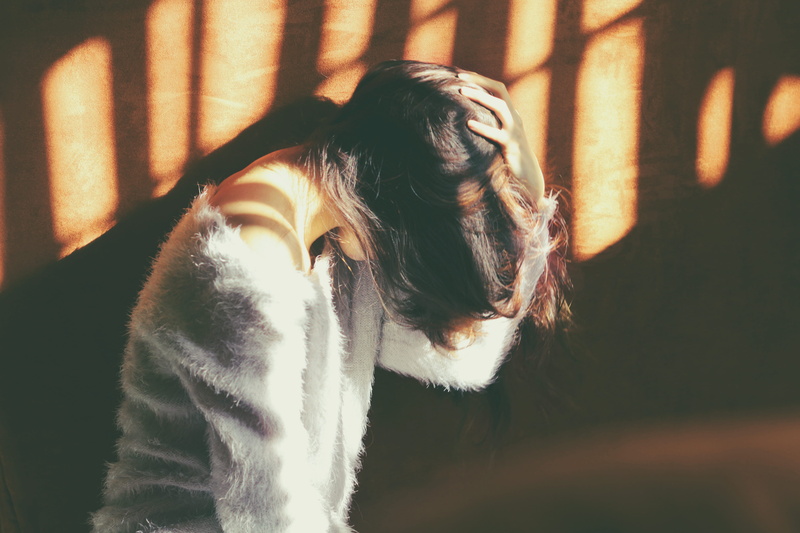 leaf, faceless, hand, pets, focus on foreground, light, headshot, female, head, feline, one person, 5K, wall, domestic, sunlight, whisker, close-up, real people