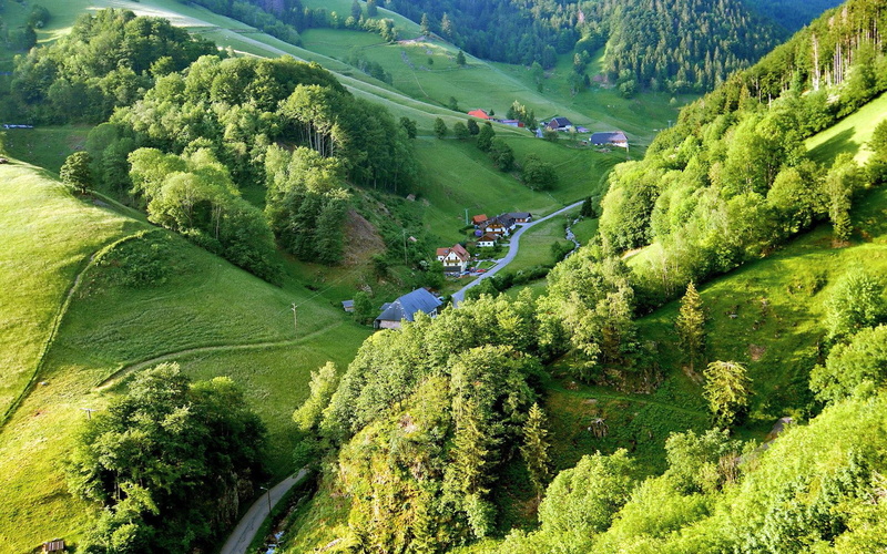 valley, forest, green, 1920x1200, world, house, tree, road, tress, 1080P, leafed