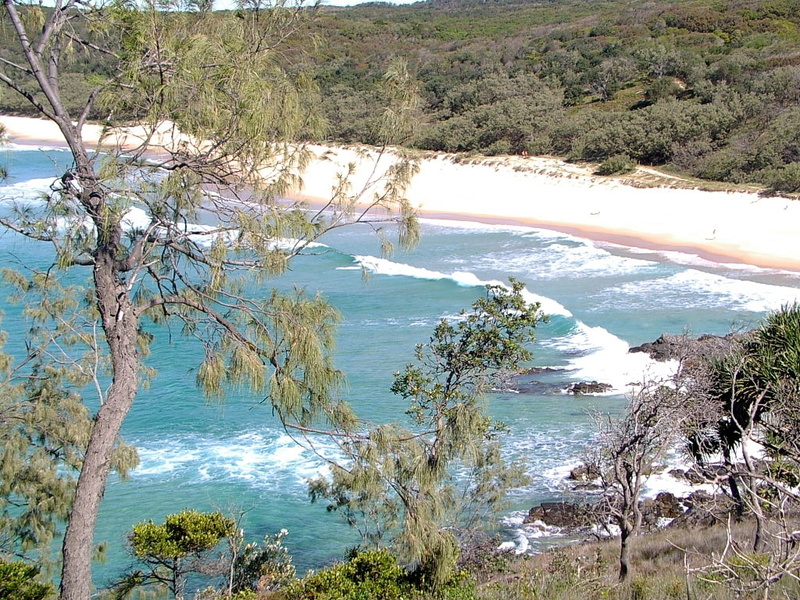 water, nature, beach, hd, 480P, body, sunshine, coast, tress, noosa