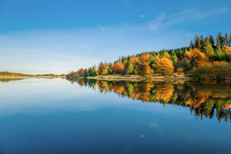 1080P, United Kingdom, reservoir, reflection, winter, park, beside, England, tress, January, trees, united, dartmoor, water, forest, leaf, green, Dartmoor National Park
