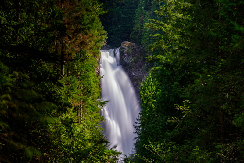forest, falling water, 5K, pine tree, no people, flowing water, long exposure, creek, river, nature, waterfall, foliage, beside, plant, tree, dark, power in nature