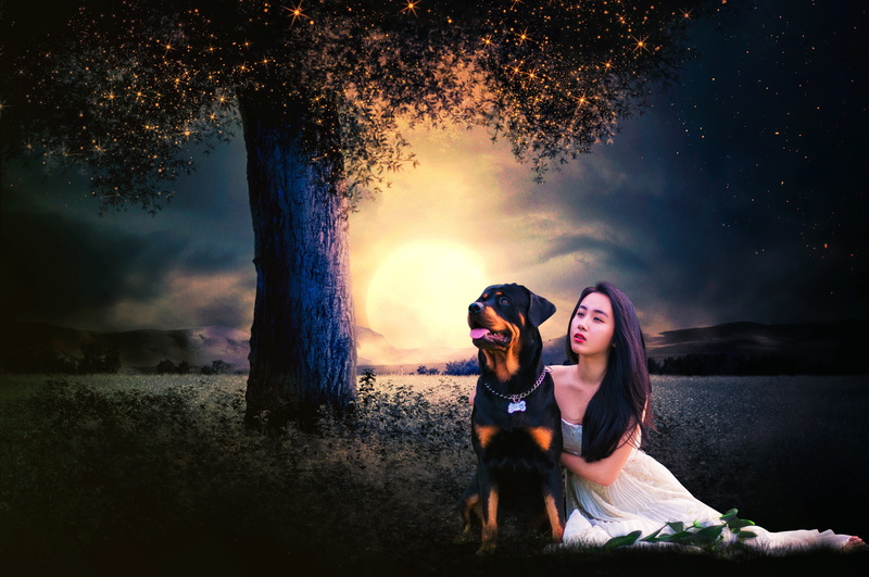 girl, outdoor, couple - relationship, person, dog, tress, waiting, two people, looking, beauty, painting, natural, field, white gown, dark, shadows, black
