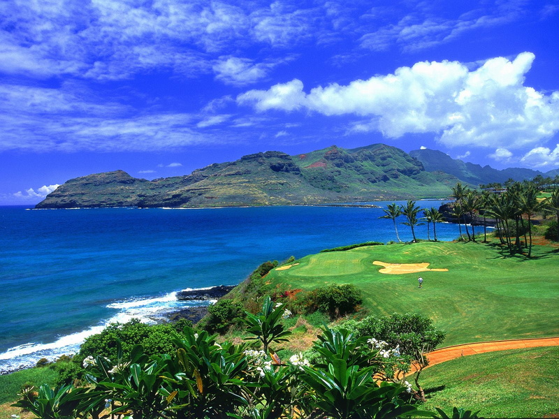 tress, hd, white, beach, golf, sky, hawaii, water, photo, blue, body, green, 720P