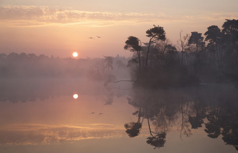 reflection, sky, birds, landscape, mist, calm, nature, flying, water, atmosphere, 1080P, trees, lake, island, clouds