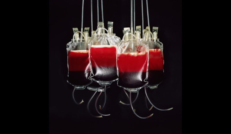blood donation, blood transfusion, 2K, blood bags