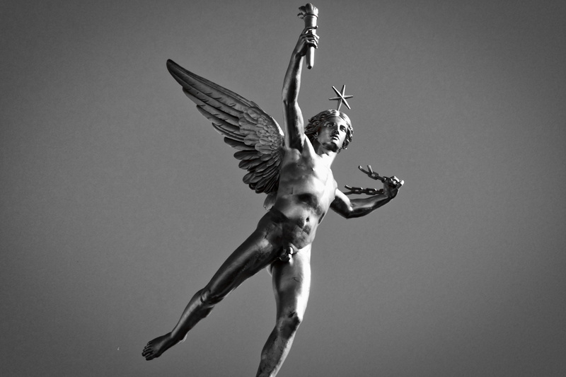 sage, animal, no people, david, animal wing, france, beautiful, bird, sky, genius, ancient times, famous, night, animal themes, 4K, animal wildlife, odysseus