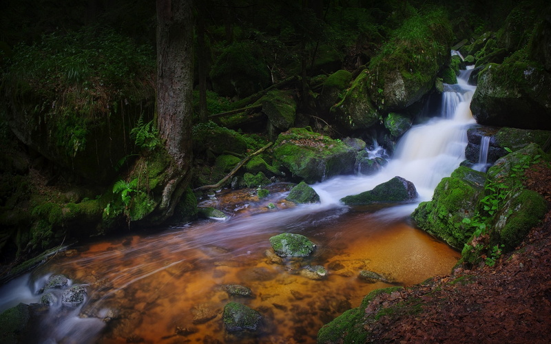 1080P, outdoors, flowing, flowing water, beauty in nature, ferns, power in nature, growth, scenics - nature, waterfall, forest, moss, creeks, solid, no people