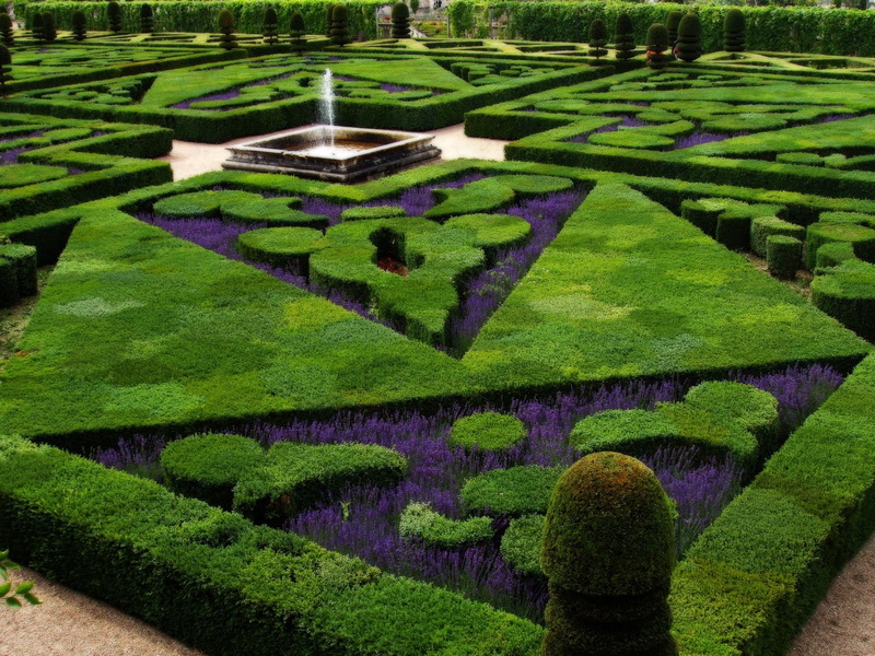 Bushes, 720P, architecture, fountain, lavender, garden