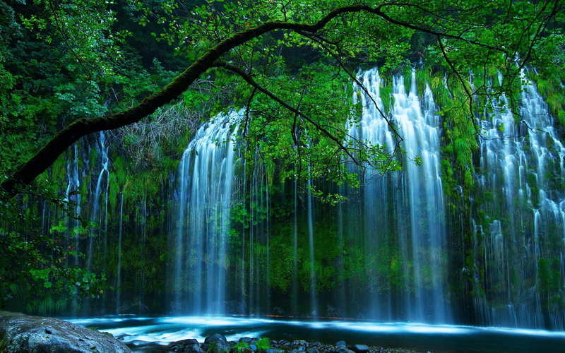 desktop, water, waterfall, forming, drop, beautiful, natural, 4K, river, leaves, tree, beauty, green, bush, dense