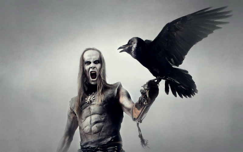  women, hairstyle, vertebrate, band, mouth open, crow, animal wildlife, waist up, 1080P, one person, young women, studio shot, bird, nergal