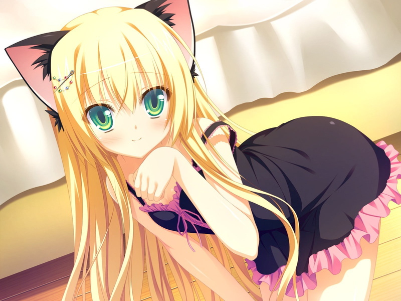 multi colored, art and craft, human representation, still life, 720P, sunlight, purple, anime girls cat girl oni gokko sumiyoshi kureha animal ears nekomimi visual novel