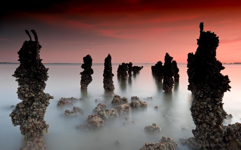 stones, mist, photoshop, shellfish, landscapes, water, beije, 1080P, nice, sea, picture, white, magenta