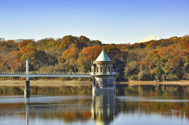 no people, reflection, change, 5K, lake, sayama lake, autumnal leaves, tranquil scene, intake tower, natural, clear sky, nature, forest, autumn, beauty in nature