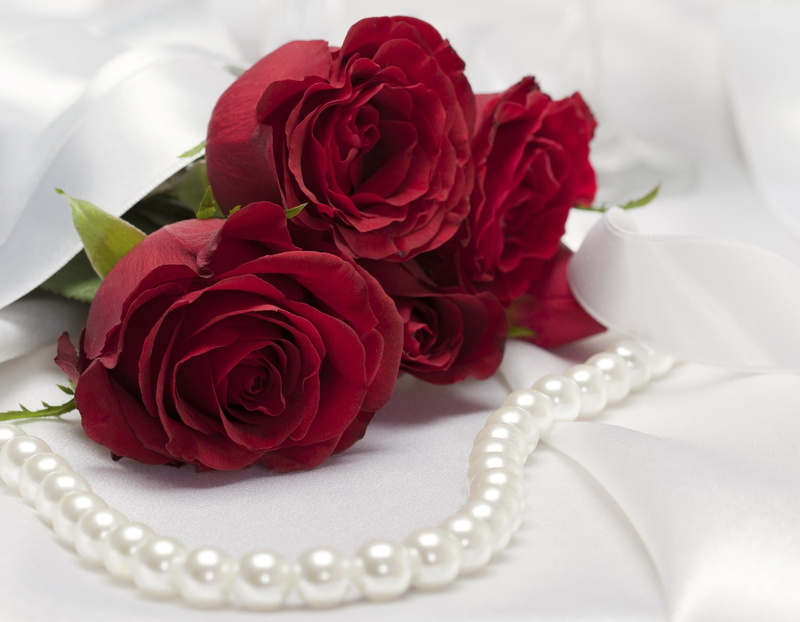 roses, flower, no People, bouquet, bunch, luxury, positive emotion, petal, fragility, jewelry, indoors, pink Color, beauty, anniversary, plant, pearl jewelry