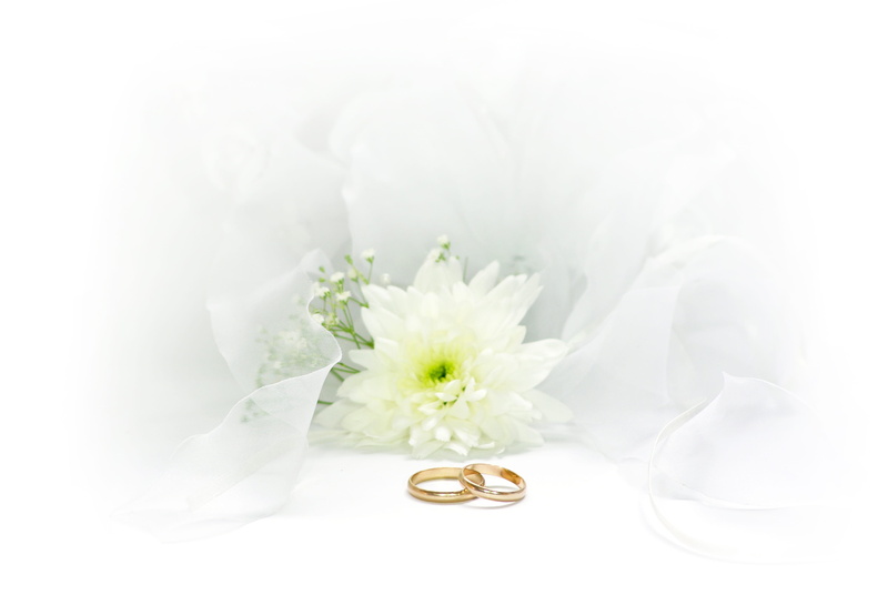 deco, plant, flower head, close-up, celebration, romance, no people, white color, copy space, bouquet, flowers, white, flower, purity, freshness, studio shot