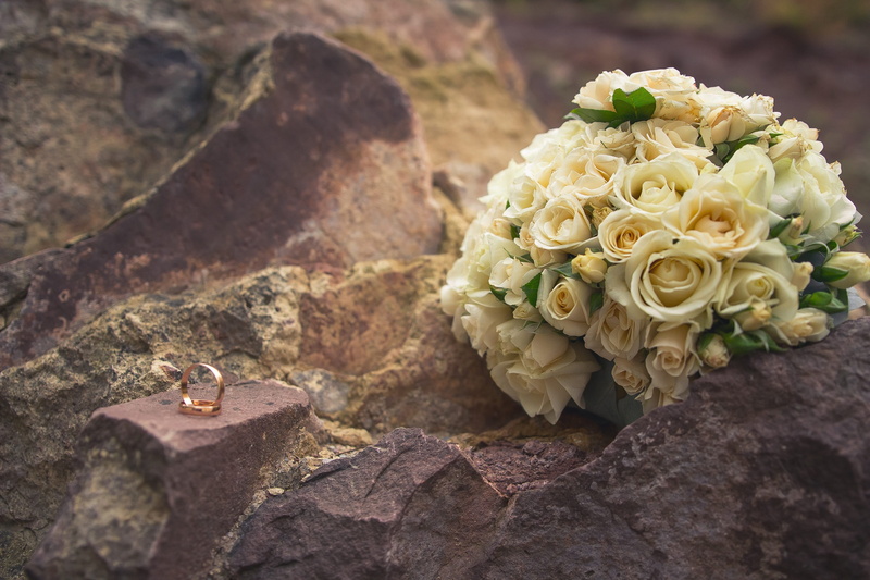 plant, flowering plant, gold, rose, marriage, rock, colored, beautiful, inflorescence, color, vulnerability, no people, nature, rings vector, decoration