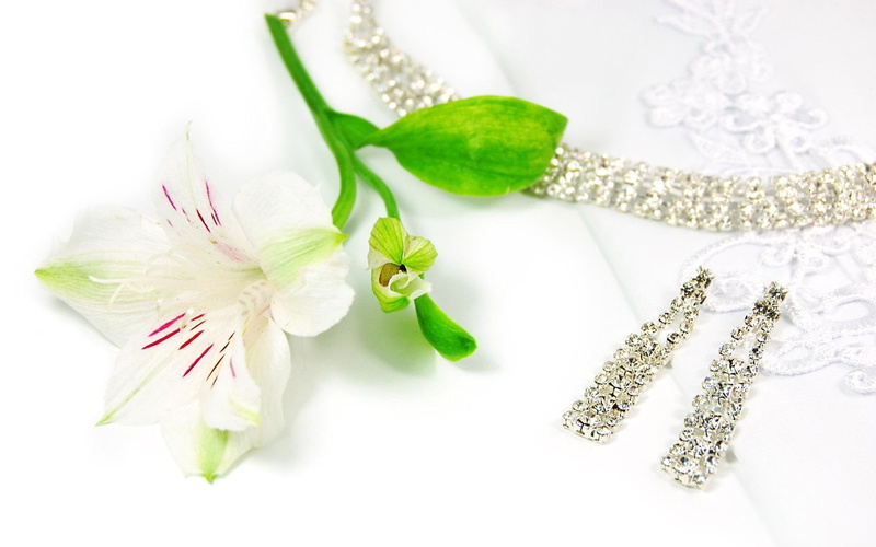 party, flower, greenfroggy, jewellery, 1080P, soft, dianna, time
