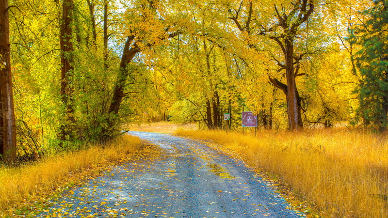 8K, hd desktop  nature  7680x4320