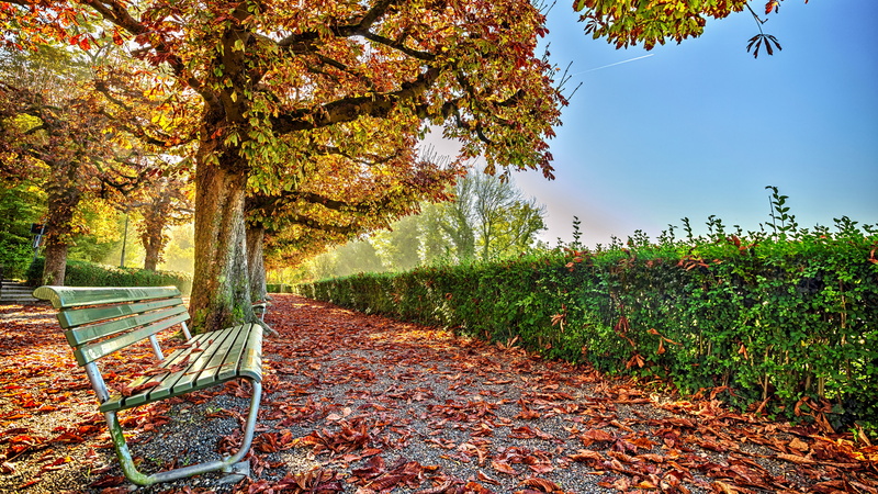 hd desktop  nature  7680x4320, 8K