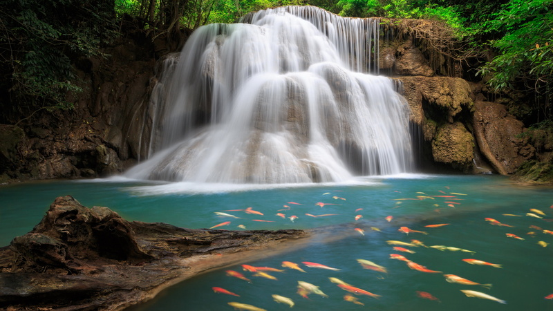 top nature scenery pics 7680x4320, 8K