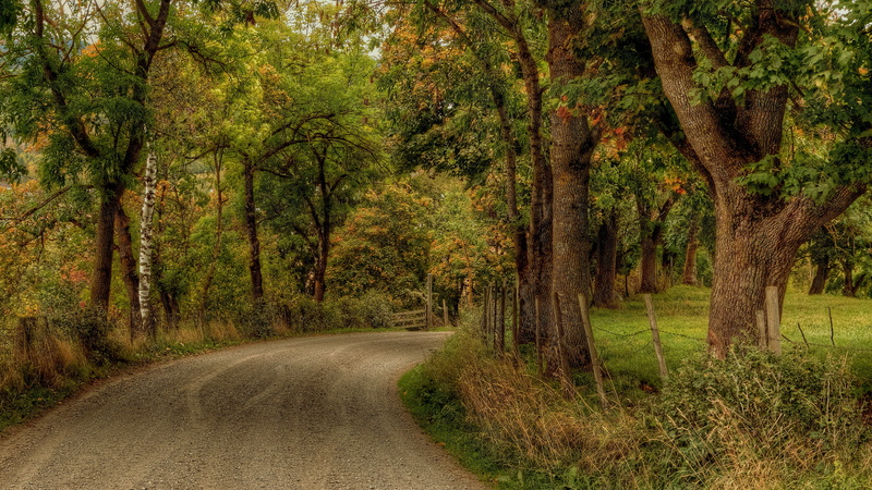 hd desktop  nature  7680x4320, 8K