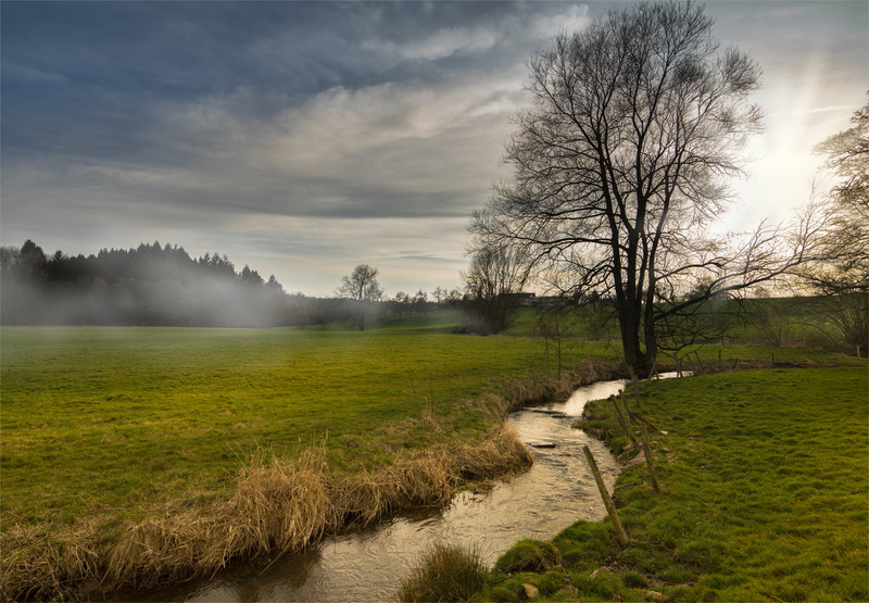 tree, grass, Norbert, water, 5K, Explore, Wasser, Baum, sky, body of water, nature, sun  green, Wiese, scenics, cloud - Sky, body, Bäume, Gras, Deutschland