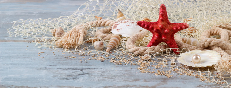 starfish, marine, 5K, sand, pearl, wood, still life, perl, seashells, shell