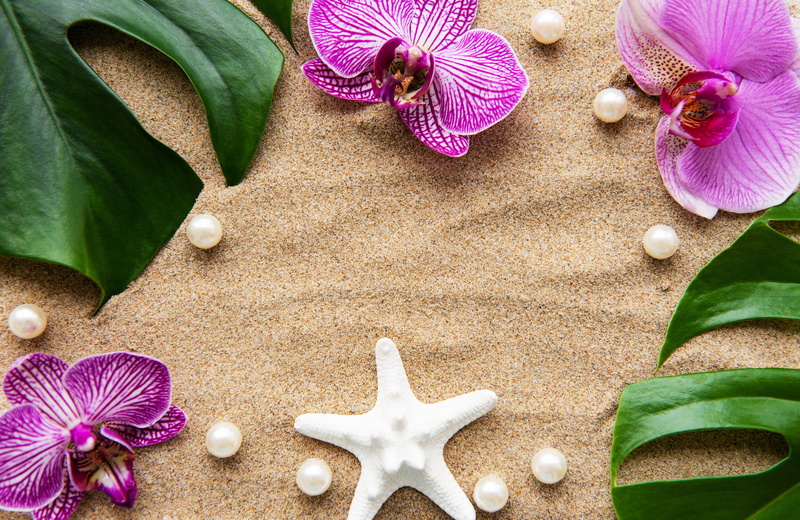 white, leaves, Orchid, sand, 5K, perls, flowers, pink, starfish, pearls, spa, zen