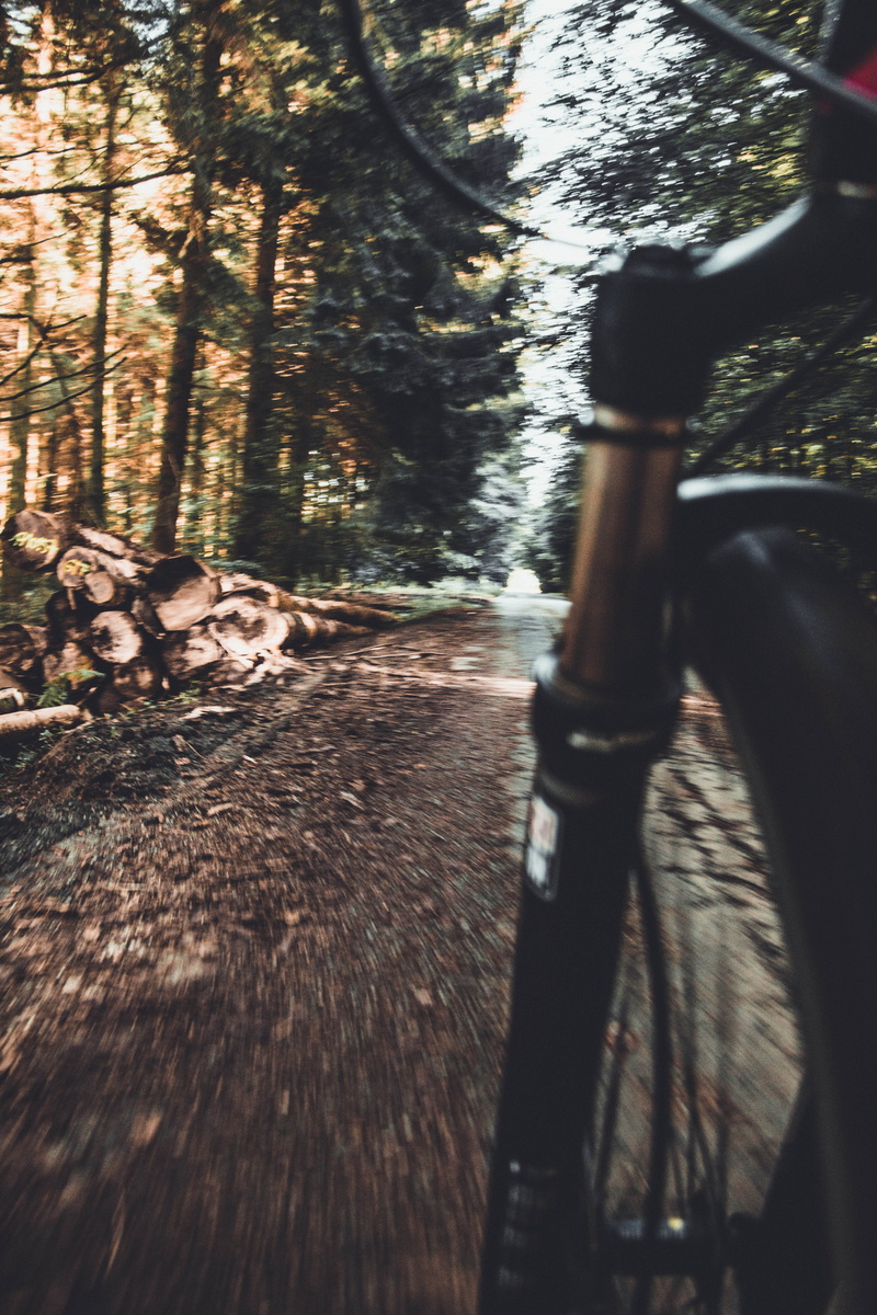 belgium, travel, land, wheel, plant, motion, forêt de rulles, foret, outdoors, transportation, street, natuee, bicycle, no people, stationary, close-up