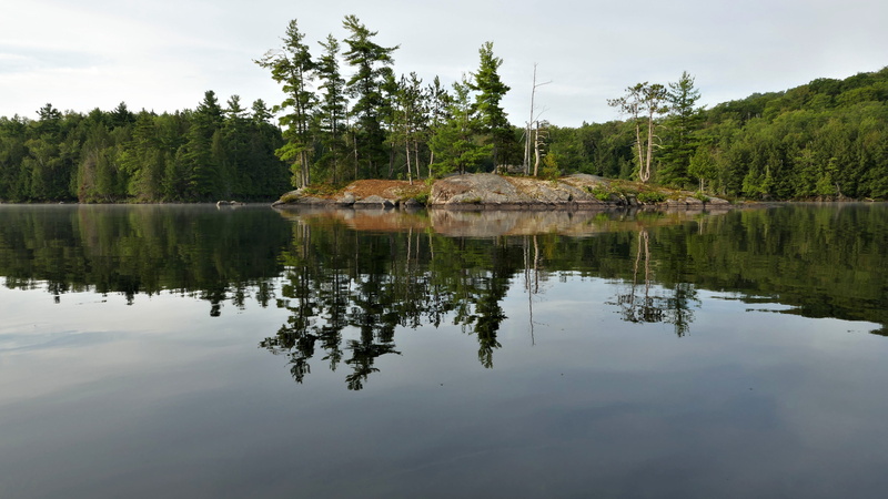 land, tranquil, ontario, ashby lake, forest, outdoors, non-urban scene, reflection, beauty in nature, tree, reflection lake, coniferous tree, dawn, canada