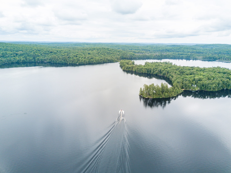 scenics - nature, ontario, canada, skiing, trees, lake, tree, tranquility, nature, drone, no people, idyllic, environment, muskoka, outdoors, 4K, high angle view