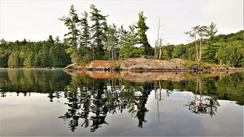 plant, beauty in nature, lake, sky, canadian shield, canada, land, non-urban scene, scenics - nature, forest, tranquil scene, no people, 5K, reflection lake