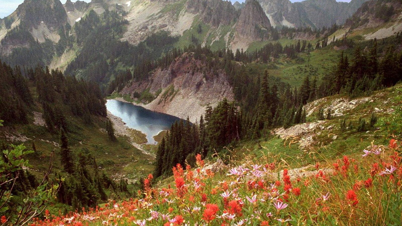 1080P, flowers, nature and landscapes, lake, bay, lost, cliff, mountains, ontario, canada, resort