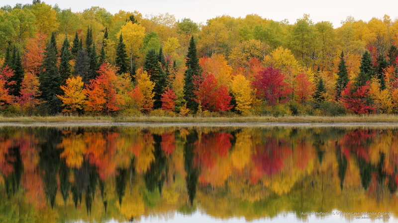 2K, autumn, North America, gryphon, lake, reflections, ontario, espanola