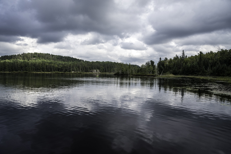 tranquil Scene, Algonquin Provincial Park, sky, cloud - Sky, scenics - nature, clouds, photos, cloudscape, provincial, tree, Shoreline, color Image, landscapes