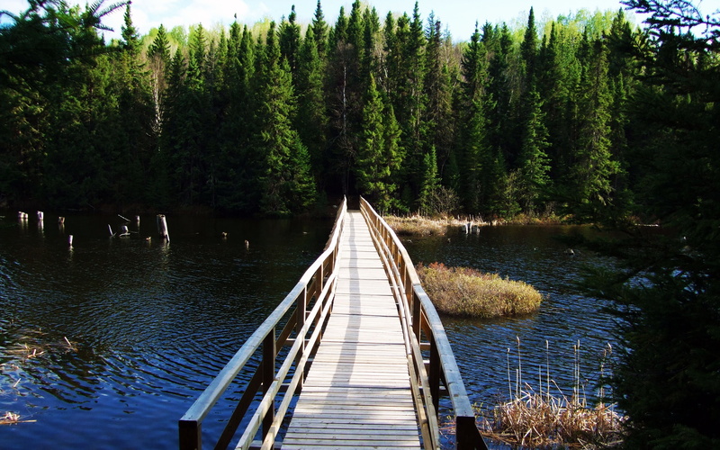 Ontario, lake, hd, forests, art, bridge, 2K, nature, Chapleau, Armstrong, Northern Ontario