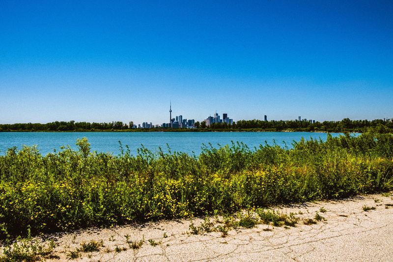 tree, nature, skyline, canada, sky, swamp, pathway, summer, green, travel, growth, water, land, lake, beauty in nature, clear sky, day, idyllic, architecture