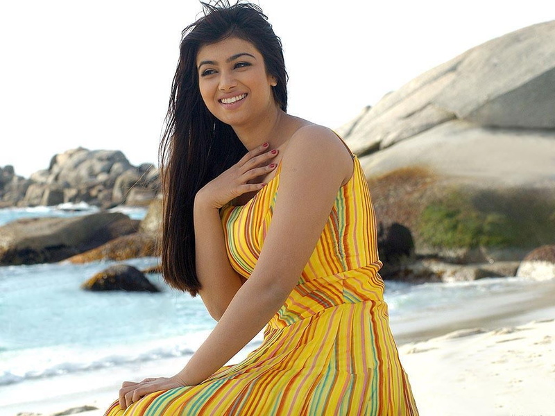 leisure activity, looking at camera, actress, smiling, beauty, land, sea, Ayesha Takia, celebrity, beautiful woman, hair, portrait, 480P, cute, smiley face
