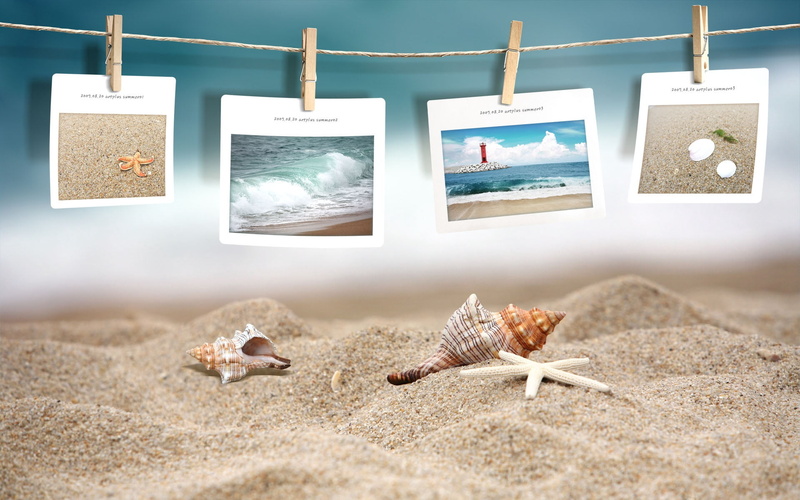 tropical Climate, two animals, sand, animal themes, journey, group of animals, beige, backgrounds, animal, travel, day, instant Print Transfer, summer
