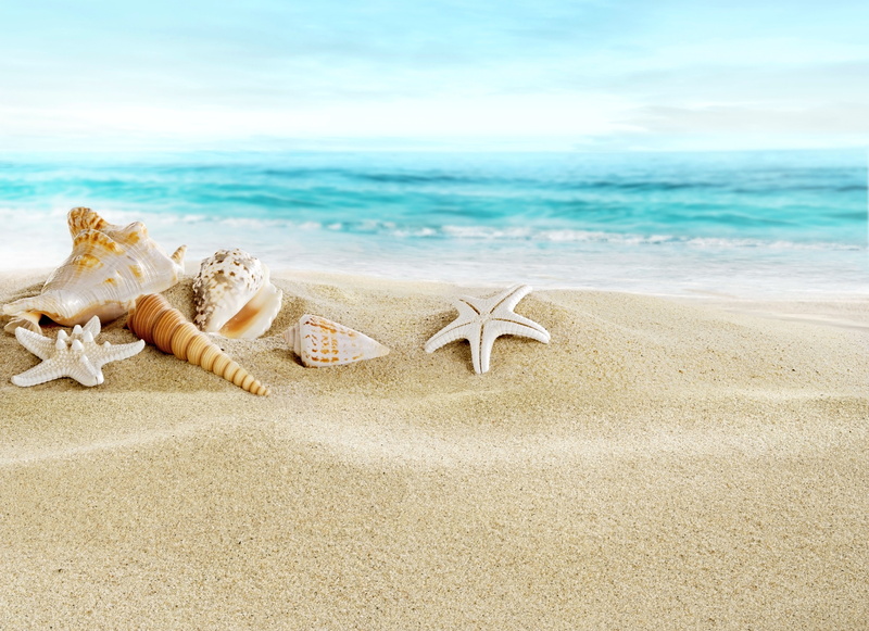 scenics - nature, tranquility, idyllic, copy Space, summer, wave, sunny, blue, sun, tourist Resort, water, marine, day, horizon, beauty in nature, outdoors