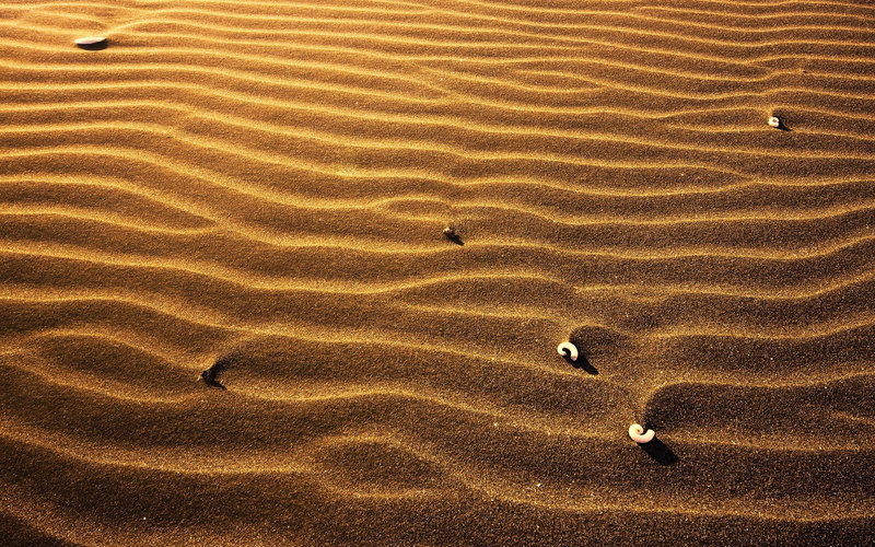 sea, water, arid Climate, landscape, heat - Temperature, sand, backgrounds, cockleshells, tranquility, environment, abstract, tranquil Scene, yellow, no People