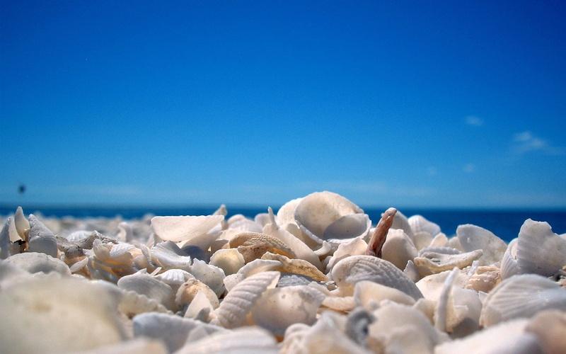 scenics - nature, water, Blue, horizon, Sky, sea, Cockleshells, nature, tranquil scene, idyllic, pebble, 1080P, rock, Beach, horizon over water, tranquility