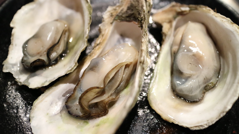 food and drink, animal wildlife, food, still life, seafood, oysters, prepared Oysters, gourmet, sea products, dry bay, mollusk, barbecue, oyster, 5K, french food