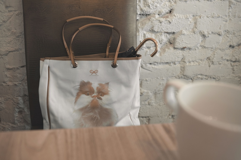 cafe, taipei, domestic, purse, fashion, brown, zhishan station, indoor, bag, home, wall, leather, cat, stone wall, feline, no people, accessories, domestic animals